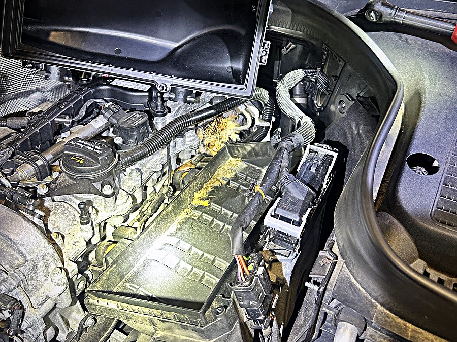 Engine bay opened up for inspection under a work light